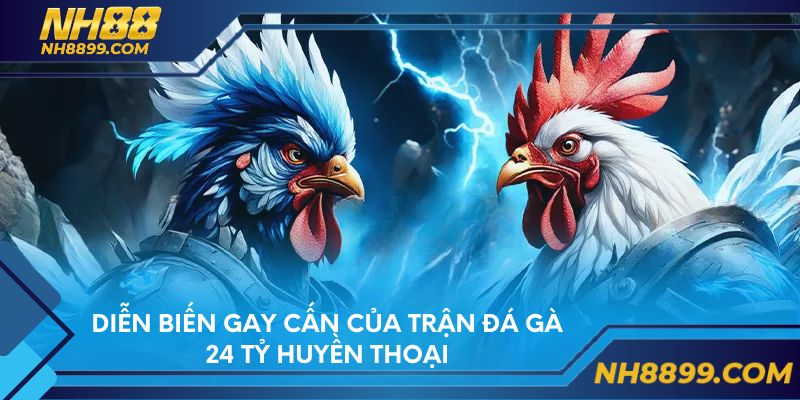 Diễn biến gay cấn của trận đá gà 24 tỷ huyền thoại